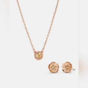 *NWT* Coach Necklace and Earring Set